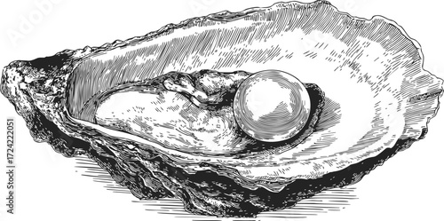 Oyster with pearl sketch, hand drawn detailed shell and gemstone — stock vector