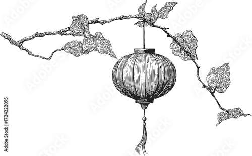 Chinese lantern sketch, hand drawn style, hanging on leafy tree branch — stock vector