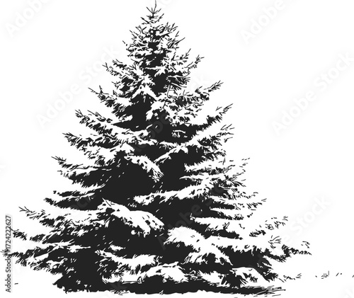 Pine tree sketch hand drawn with snow covered branches, winter season — stock vector