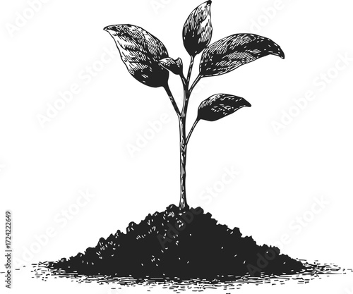 Seedling sketch hand drawn young plant with leaves and soil mound — stock vector