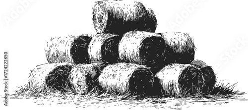 Hay bales sketch hand drawn stacked on grass in rural farm scene — stock vector