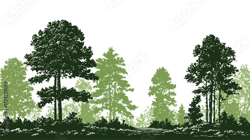 Serene Forest Green Trees Silhouette in Nature