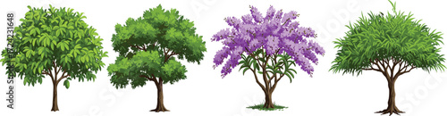 Fruit tree with green soursop, large deciduous green tree, and purple flowering jacaranda tree illustration, tropical botanical vegetation design for landscape, ecology