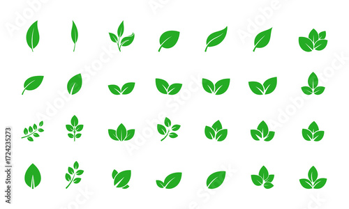 Green leaves icon set. Collection of nature symbols, eco logo elements, organic plant icons, herbal design, botanical silhouette, natural decoration, and eco-friendly vector illustration.