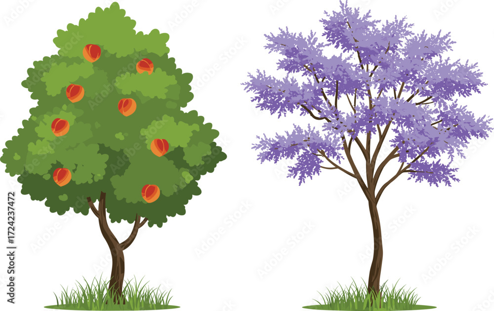 Fototapeta premium Peach tree with ripe fruits and jacaranda tree full of purple blossoms, seasonal orchard illustration, nature, spring garden, botanical background.