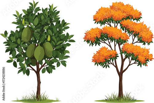 Realistic jackfruit tree with green tropical fruits, autumn tree with bright orange leaves, seasonal orchard plants, natural garden foliage, detailed illustration.