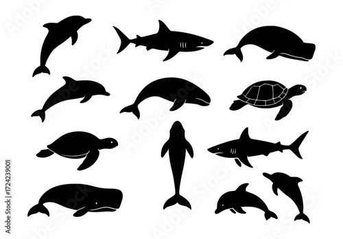 Silhouette marine animals collection: dolphins, sharks, whales, and turtles