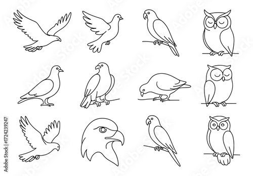 Bird line art collection featuring various species in simple design