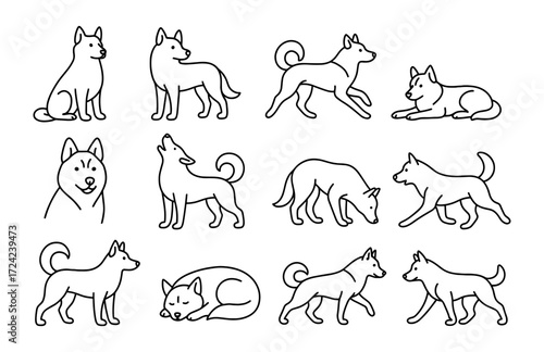 Outline dog set: various poses and silhouettes of cuddly canines