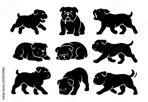Bulldog puppies silhouette set: adorable poses on white background