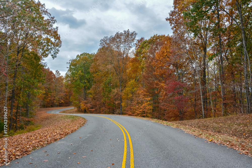 Fototapeta premium Scenic view of the Natchez Trace Parkway in autumn, with a curving two-lane road winding through colorful fall foliage in Tennessee. Peaceful, tree-lined route known for historic and natural beauty
