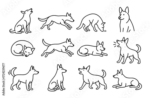 Linear dog poses collection showcasing various canine activities