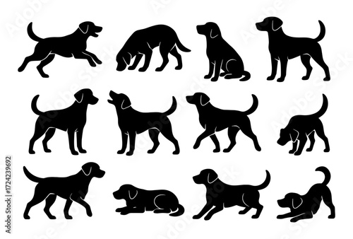 Silhouette collection of labrador retrievers in various poses on white background