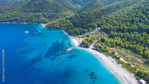 Mediterranean Island with Lush Pine Forest and Turquoise Sea, Skopelos