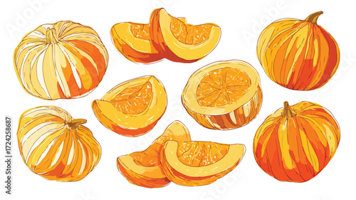 Colorful Pumpkin Slices Flat Vector Collection for Vibrant Designs
