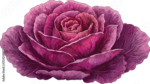 Vibrant Microgreen Red Cabbage on Plate Edible