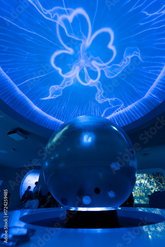 新江ノ島水族館 クラゲファンタジーホールの幻想的な展示