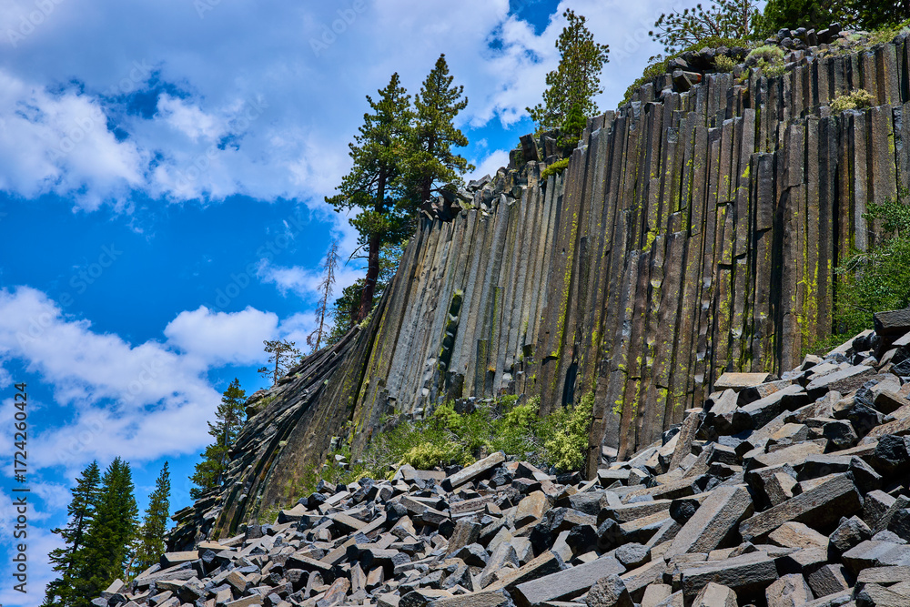 Fototapeta premium Basalt Rock Columns and Pine Trees at Devils Postpile California Under Blue Sky