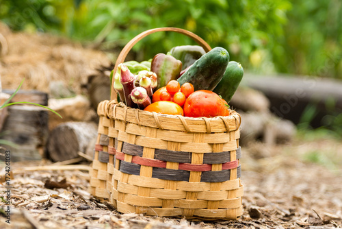 a basket of garden vegetables