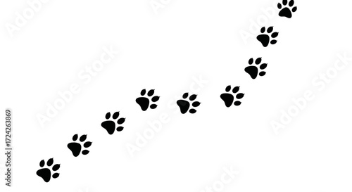 A sequence of paw prints curving gently upwards.