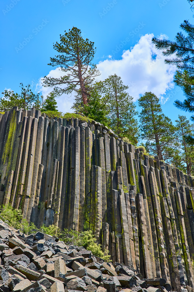 Fototapeta premium Basalt Columns and Pine Trees at Devils Postpile California Under Sunny Blue Sky