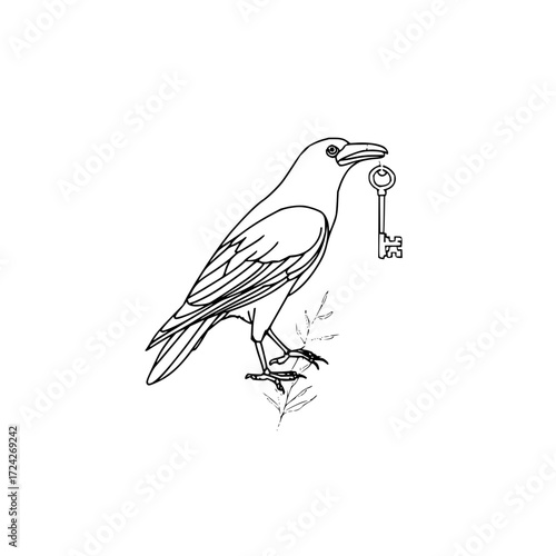A line drawing of a raven perched on a branch holding a key in its beak with a white background