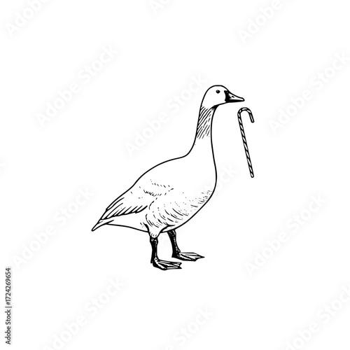 Illustration of a goose standing with a candy cane in its beak on a white background design element