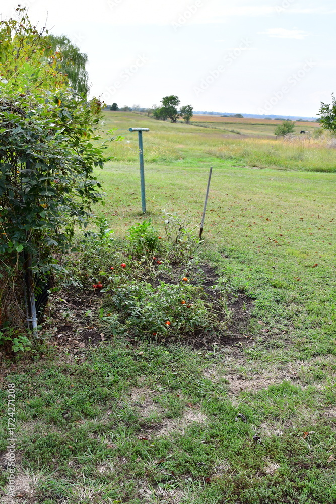 Obraz premium Garden