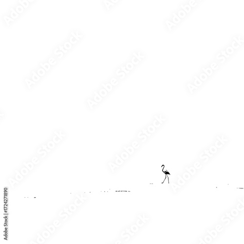 A lone flamingo walking in a vast white expanse creating a minimalist and serene composition of nature