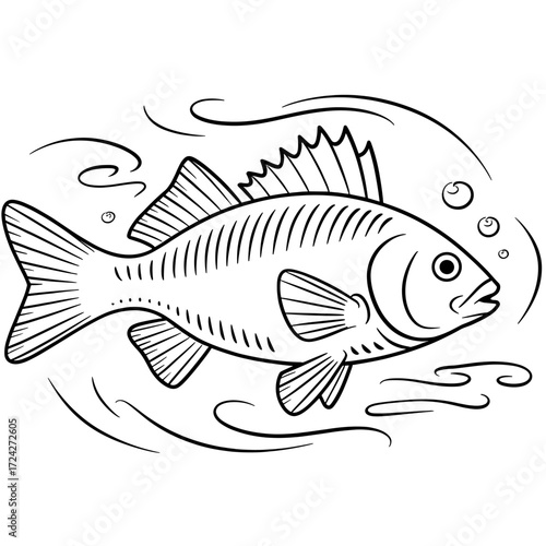 Swimming fish with spiky fin in clear water with swirls and bubbles around its body in a simple line art style
