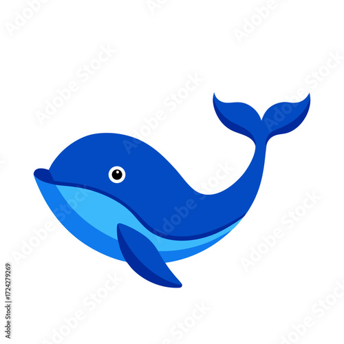 blue whale vector illustration