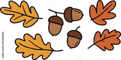 Colorful cartoon oak leaves and acorns in flat style with outline  