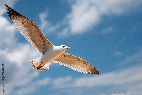A seagull soaring against a vibrant blue sky (1)