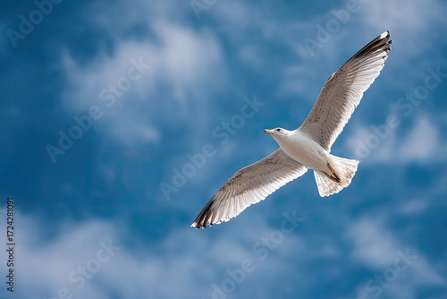 Seagull soaring against a dramatic sky