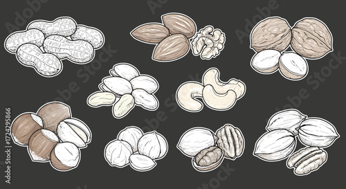 Assortment of delicious nuts - peanuts, almonds, walnuts, pistachios, cashews, macadamia, hazelnuts, pecans - perfect for healthy snacking and culinary creations