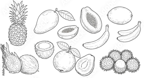 Exotic fruit collection for healthy eating concept, featuring pineapple, mango, papaya, coconut, banana, dragon fruit, guava, and rambutan, perfect for nutrition