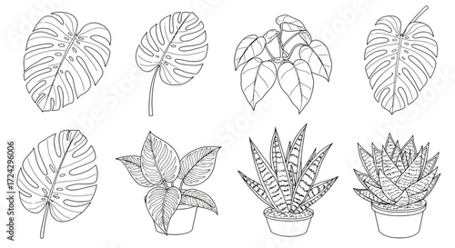 Elegant line art featuring monstera, snake plant, and philodendron house plants – create a calming, nature-inspired vibe with this classic botanical collection