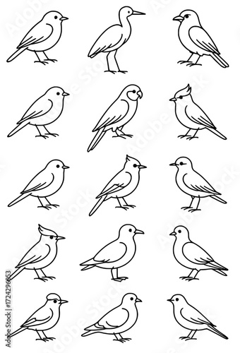 vector icon, birds image collection, outline version