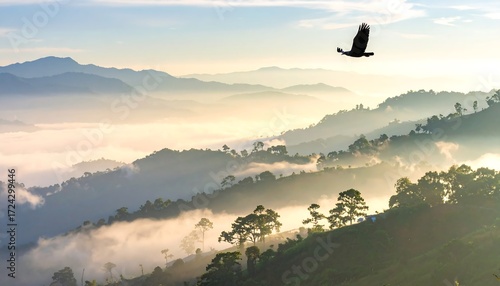 Misty mountain range with soaring bird