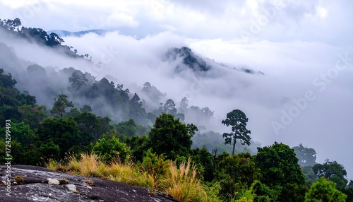 Misty mountain range with lush vegetation