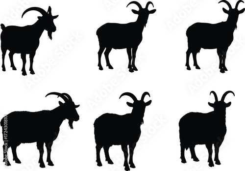 Silhouette vector illustration of goats with horns standing in different poses, farm livestock animal design for agriculture, nature, wildlife artwork