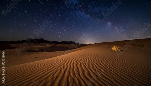 Desert landscape under a starry night sky