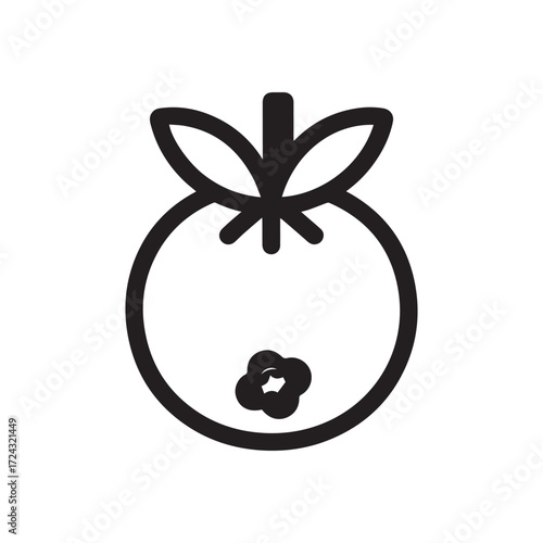 Outline of a fruit with leaves and blossom is isolated on white background