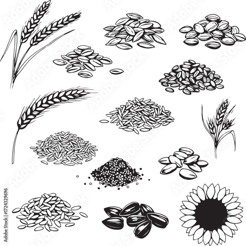  Cereal grains and seed icons. Simple black and white vector illustrations.eps