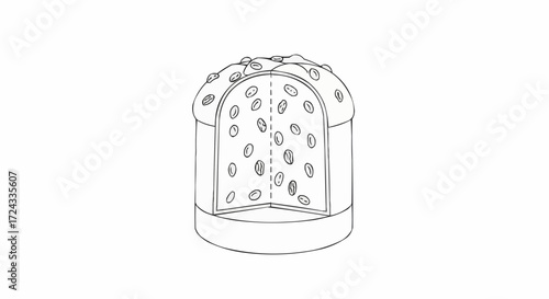 Christmas  coffee bean cross section diagram illustration for cafe menu and coffee shop marketing materials design style vector