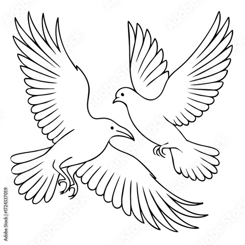 Symbolic Duality of a Dove and Raven
