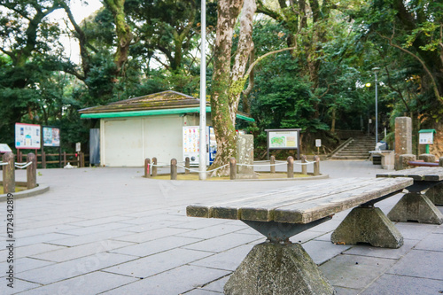 静かな森林公園のベンチと木々に囲まれた広場