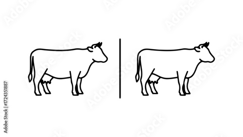 Two cows side by side illustration showing dairy cattle outline.