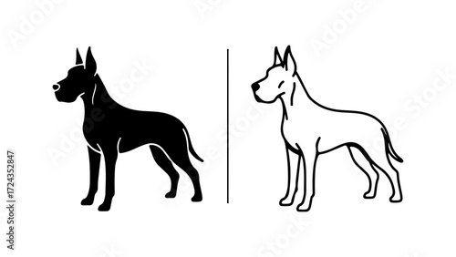 Two Illustrations of a Doberman Pinscher Dog.