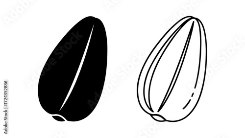 Two Illustrations of Sunflower Seeds One Solid Black One Outline.
